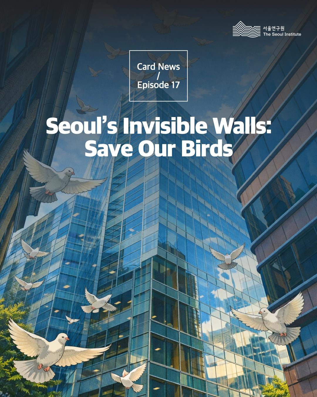 Seoul’s Invisible Walls: Save Our Birds 이미지
