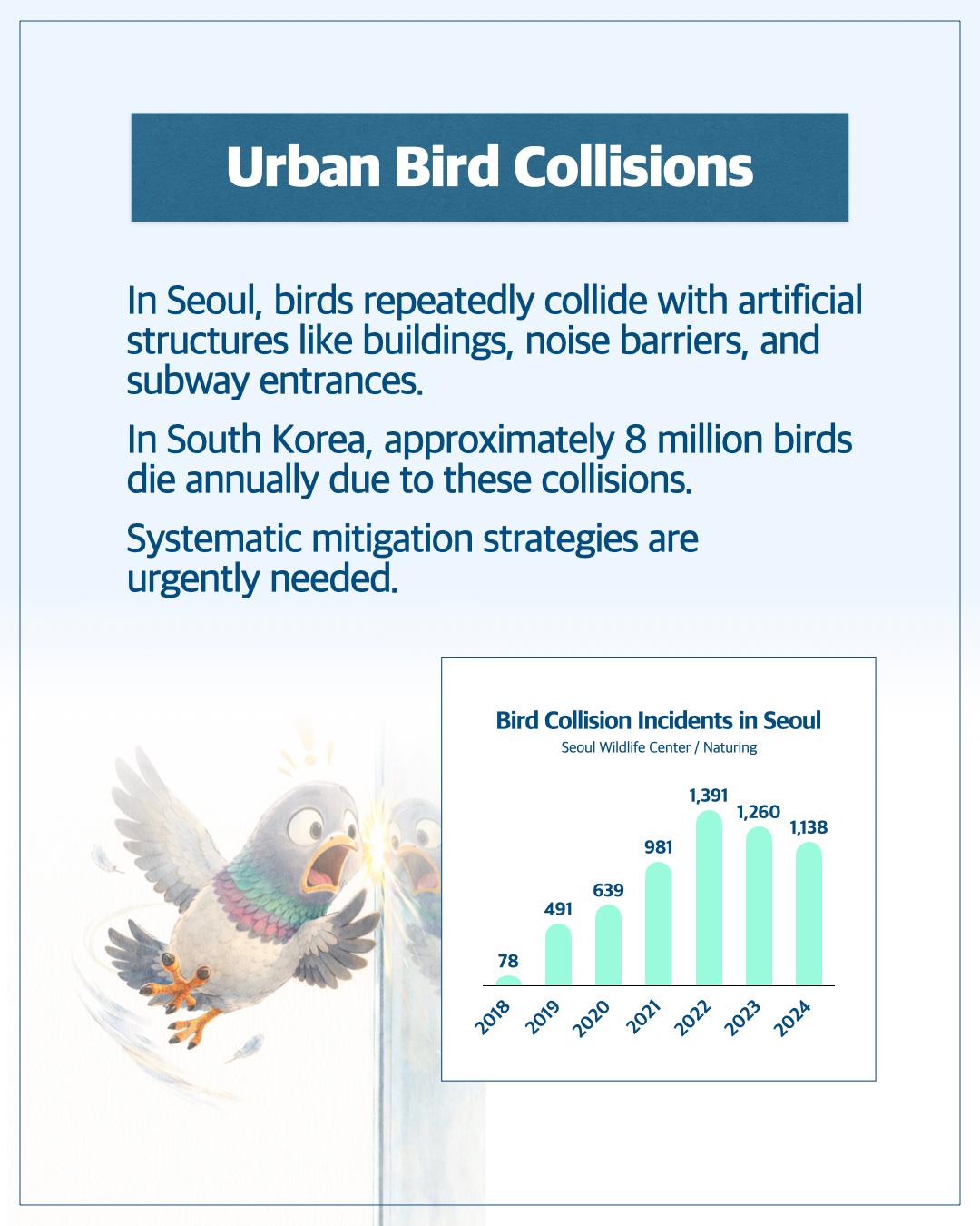 Seoul’s Invisible Walls: Save Our Birds 이미지