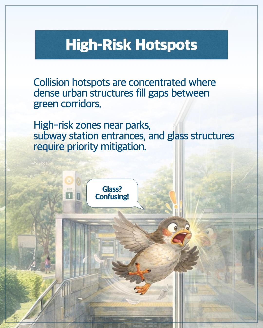 Seoul’s Invisible Walls: Save Our Birds 이미지