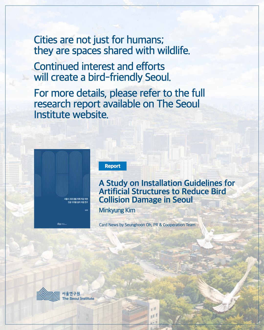 Seoul’s Invisible Walls: Save Our Birds 이미지